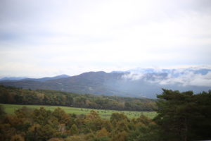 これから結婚する若い男性に「良い夫婦関係を持続させるコツはなんですか？」と聞かれました