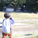 泣いてくれなかったら気付かなかった4歳の傷心