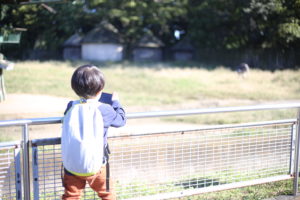 泣いてくれなかったら気付かなかった4歳の傷心