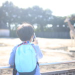 7歳児の癇癪がだんだんと落ち着いてきた感じ