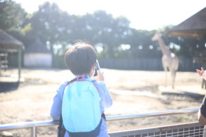 形骸化とワンマンと民主主義と公立小学校の『目的と手段』