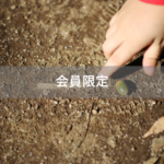 【会員限定】「ごめんなさい」「ありがとう」と言ったら死ぬ病