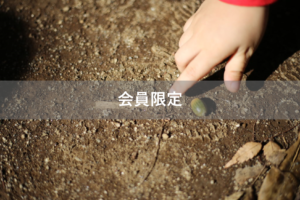 【会員限定】「ごめんなさい」「ありがとう」と言ったら死ぬ病