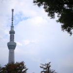 自分の苦しみは、やっぱり自分で言わないといけないのかもしれない。