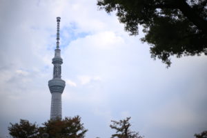 嗚呼ニッポン、遅れてるなと思った。