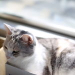 またやっちまったけど、ナイスジャッジも。半日のQOLは意外に大事でしょ