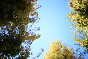 親にドヤ顔を見せてくれるのもきっともうすぐ終わり