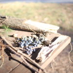 そろそろまたキャンプの季節 一般的にキャンプは夏なの?
