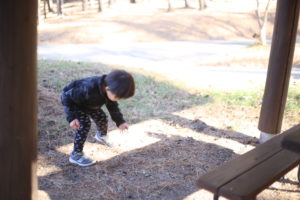 5歳児に【言霊】を教えたら思いの外食いついた