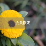 【会員限定】早く人間になりたい。