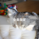 【会員限定】勘違い甚だしい夫の【愛】と【愛情表現】