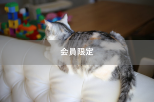 【会員限定】勘違い甚だしい夫の【愛】と【愛情表現】