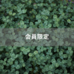 【会員限定】夫に問うてみよう。『お母さん』と『妻』の違いは何？