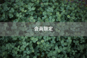 【会員限定】夫に問うてみよう。『お母さん』と『妻』の違いは何？