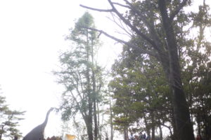 選択的夫婦別姓も、親子手帳も同性婚も、『世論』ておもしろい