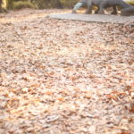 正解を引ける気がしない、子育て世帯の住宅事情