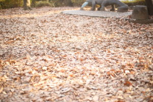 Government of おじーちゃん、by おじーちゃん、for おじーちゃん