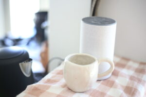 早くも佳境なのか！？家探しの行方やいかに