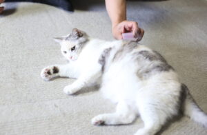 お金より、オシャレよりも大事なもの