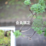 【会員限定】『離婚スタンプカード』全部溜まったら?