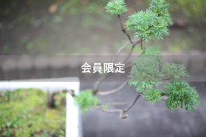 【会員限定】『離婚スタンプカード』全部溜まったら？