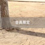 【会員限定】俺が家を買ったんだから、家事を負担して。私は可愛い子供を産んであげたんだから…