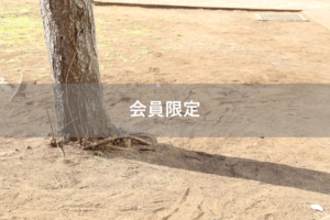 【会員限定】俺が家を買ったんだから、家事を負担して。私は可愛い子供を産んであげたんだから…