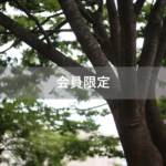 【会員限定】ガチの必死さは大抵かっこ悪いけど、離婚を切り札にすべきだと思う理由