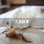 【会員限定】『夫も子育てに当事者意識を持つべき』の対になるもの『妻も・・・』