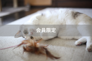 【会員限定】『夫も子育てに当事者意識を持つべき』の対になるもの『妻も・・・』