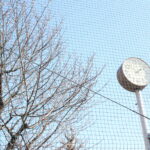 子供の暇つぶしに関する課題【都内8歳&6歳の場合】