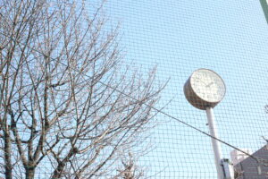 「女だったらよかったのに」長男が言いました。