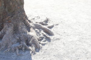 日本式『共働き』はやっぱり、夫婦どちらかが仕事を諦めざるを得ないのではないか