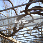 【会員限定】どれだけ大きな声を出せば夫は私の話を聞いてくれるのか。強硬手段に出る妻の気持ち。