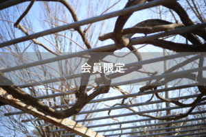 【会員限定】どれだけ大きな声を出せば夫は私の話を聞いてくれるのか。強硬手段に出る妻の気持ち。