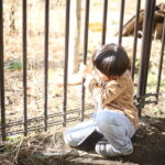 『男の子なんてそんなもん』なのか。