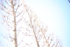 この『ゲーム』には安心できる私はやっぱり古い人間