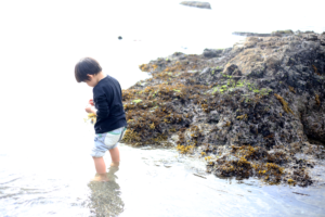 偏食次男と成人女性並長男の食事情