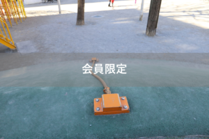 【会員限定】『北風と太陽』戦法　結局はまだご飯作って欲しいんだなと思った