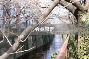 【会員限定】「どんだけ偉いんだよ！ふざけんなよ！！！」怒鳴り散らしました。