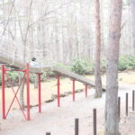 生まれてはじめての『モテ期』