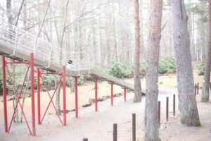 生まれてはじめての『モテ期』