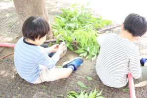 週末ご飯必勝法