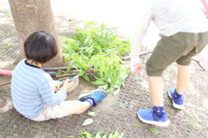 テレビはEテレ以外、基本見せていません。