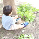 親孝行してますか?親孝行ってなんだろう。