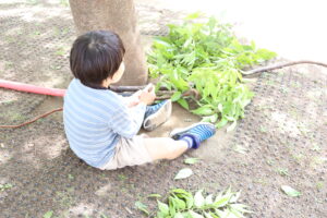 親孝行してますか？親孝行ってなんだろう。