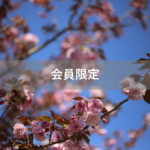 【会員限定】そうして強がり偉ぶる先に、何があるのか。