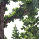 『子供だけで遊ぶ』って意外に難しいようです。