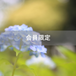 【会員限定】何があるかわからないからこそ、納得の行く夫婦関係を。