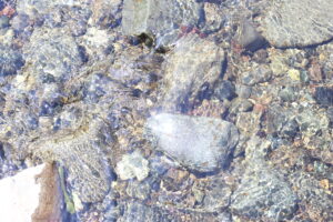 凡人だもん。それしかないでしょ。